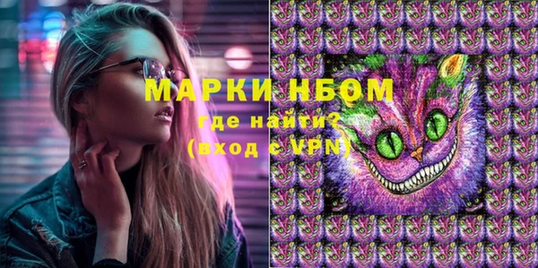 гидра Весьегонск