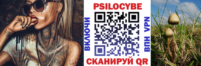 omg tor  Олонец  Псилоцибиновые грибы Cubensis 